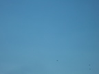 IMG 3598